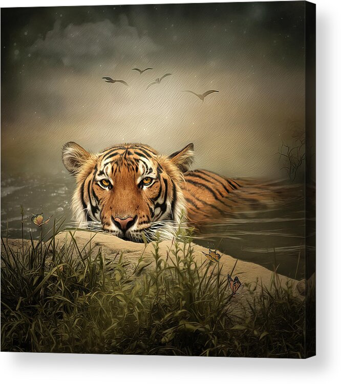 Tiger Acrylic Print featuring the digital art Keeping Cool by Maggy Pease