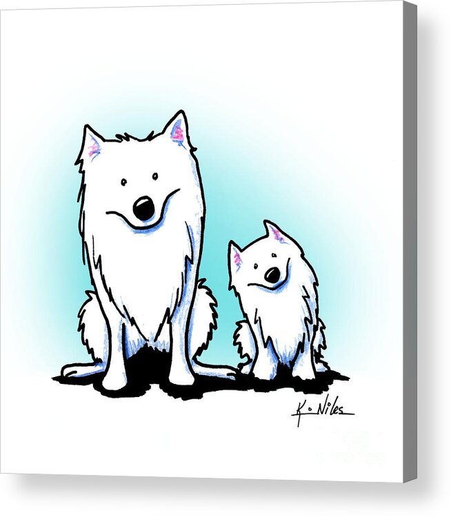 American Eskimo Acrylic Print featuring the drawing KiniArt American Eskimos by Kim Niles aka KiniArt