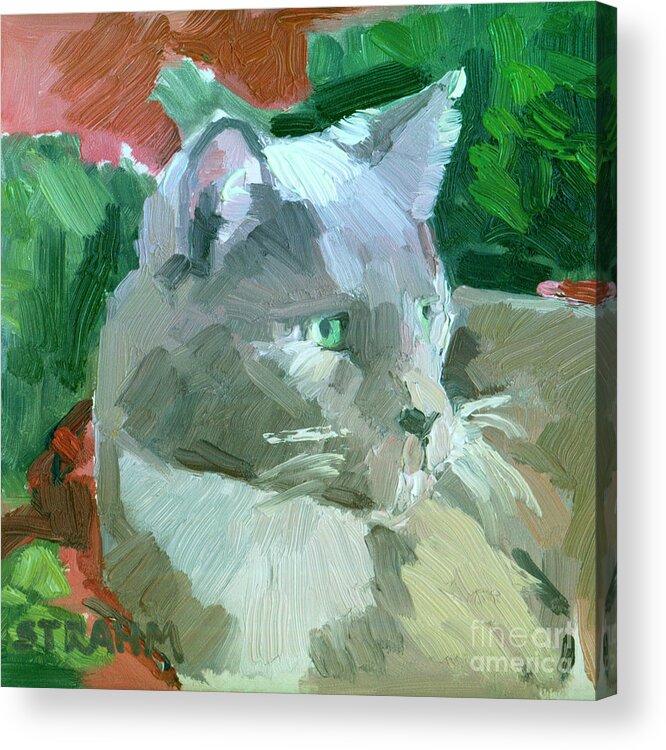 Tuxedo Cat Acrylic Print featuring the painting Kitty by Paul Strahm