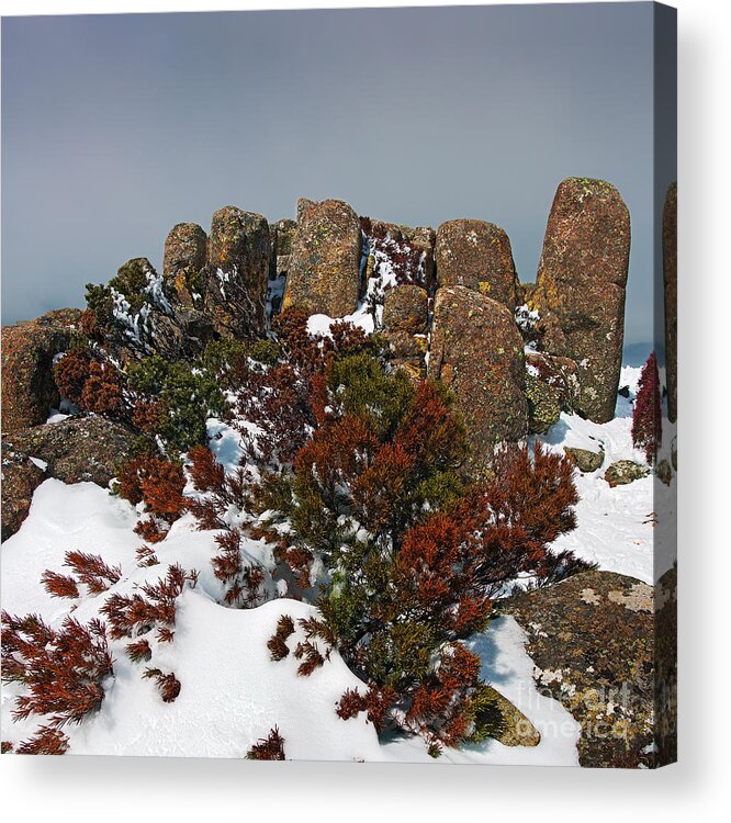 Mountain Acrylic Print featuring the photograph Life in the Freezer by Russell Brown