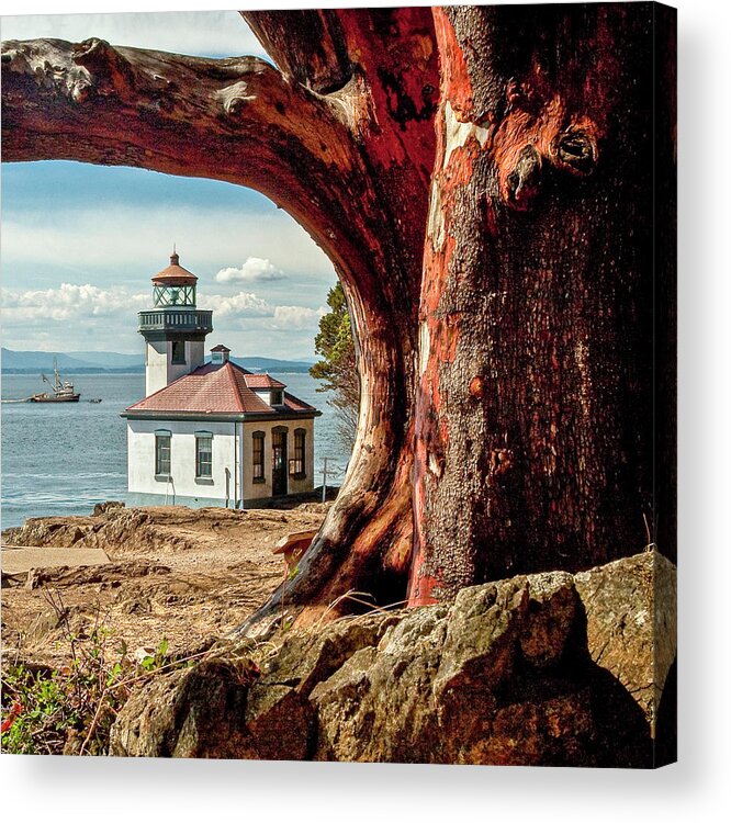Lighthouse Acrylic Print featuring the photograph Lime Kiln Lighthouse by Tony Locke