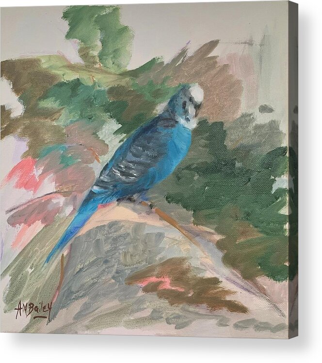 Parakeet Acrylic Print featuring the painting Look at Me. Budgies 1 by Ann Bailey