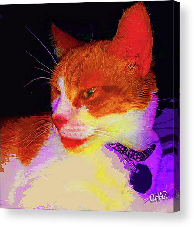 Animals Acrylic Print featuring the photograph Louie by CHAZ Daugherty