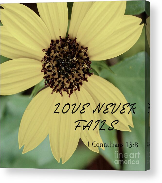 Sunflower Acrylic Print featuring the photograph Love Never Fails by Joanne Carey