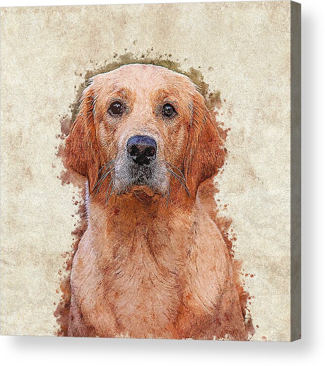 Golden Acrylic Print featuring the painting Lovely Red Golden Retriever by Custom Pet Portrait Art Studio