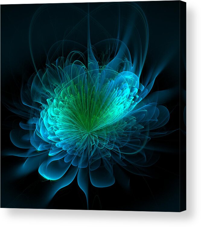  Acrylic Print featuring the digital art The Rose #3 by Mary Ann Benoit