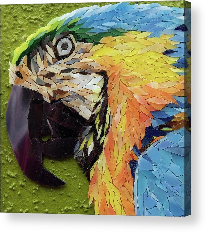 Macaw Acrylic Print featuring the glass art Mackey the Blue and Yellow Macaw by Adriana Zoon