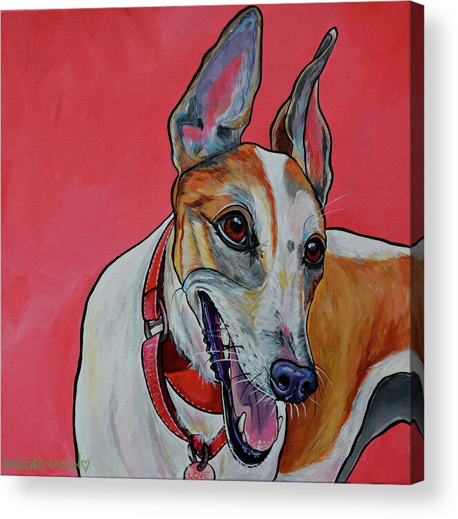 Greyhound Dog Acrylic Print featuring the painting Madison the Greyhound by Patti Schermerhorn