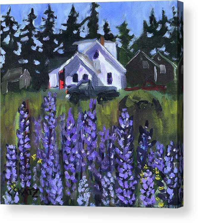 Maine Acrylic Print featuring the painting Matinicus House with Lupine by Cyndie Katz