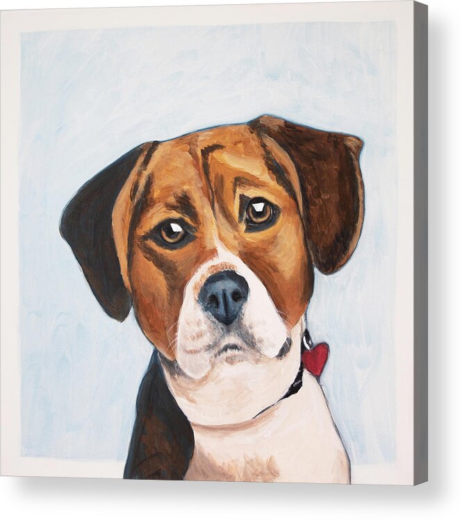 Beagle Acrylic Print featuring the painting Max by Pamela Schwartz