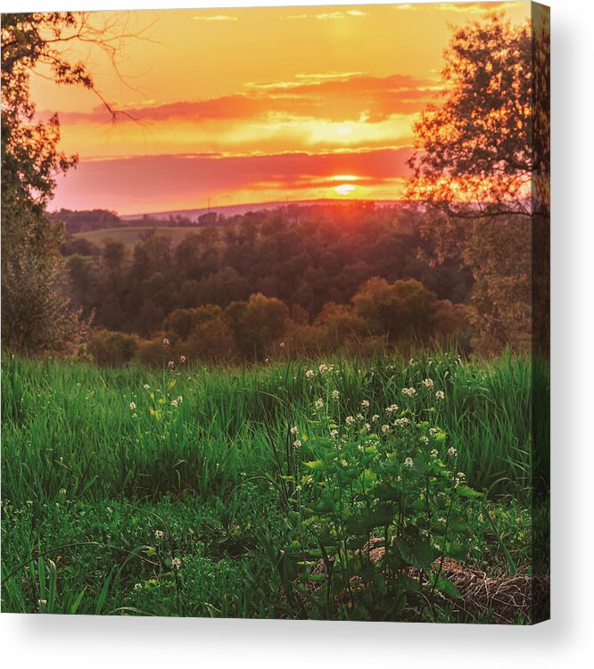 Sunset Acrylic Print featuring the photograph Meadow Sunset by Jason Fink