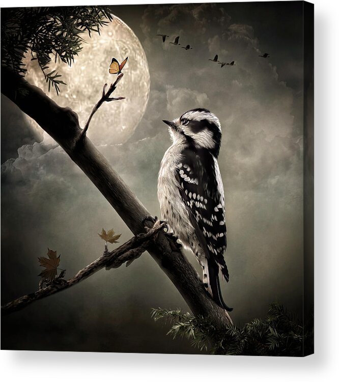 Birds Acrylic Print featuring the digital art Moonlight Conversation by Maggy Pease