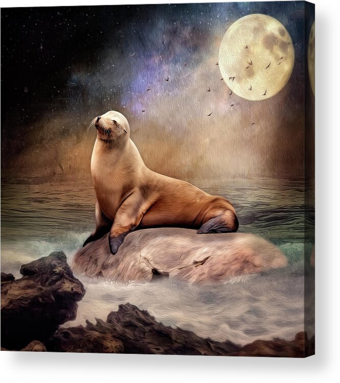 Seal Acrylic Print featuring the digital art Moonlight by Maggy Pease