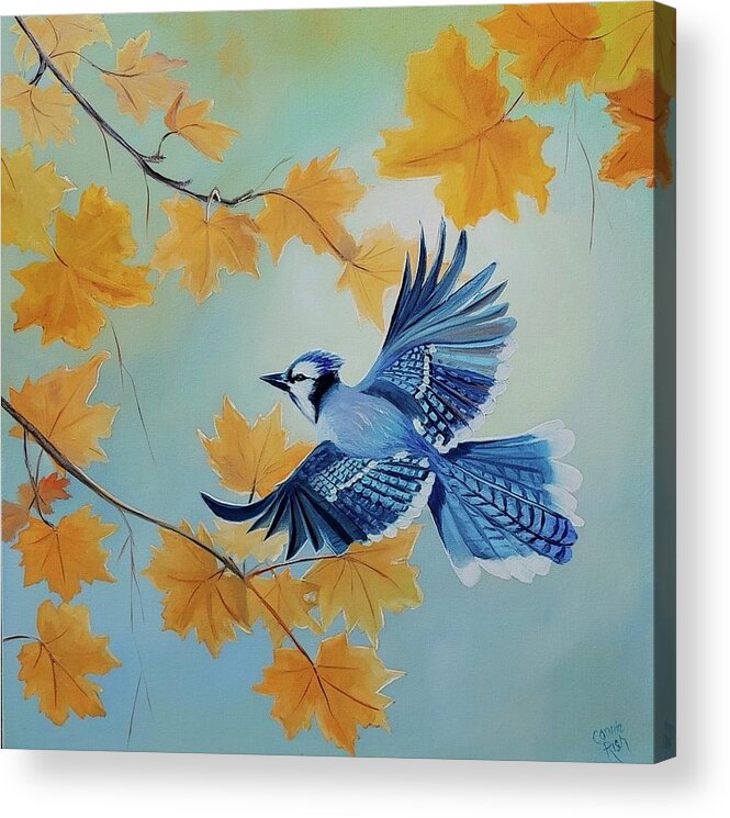 Blue Jay Acrylic Print featuring the painting Morning Jay by Connie Rish