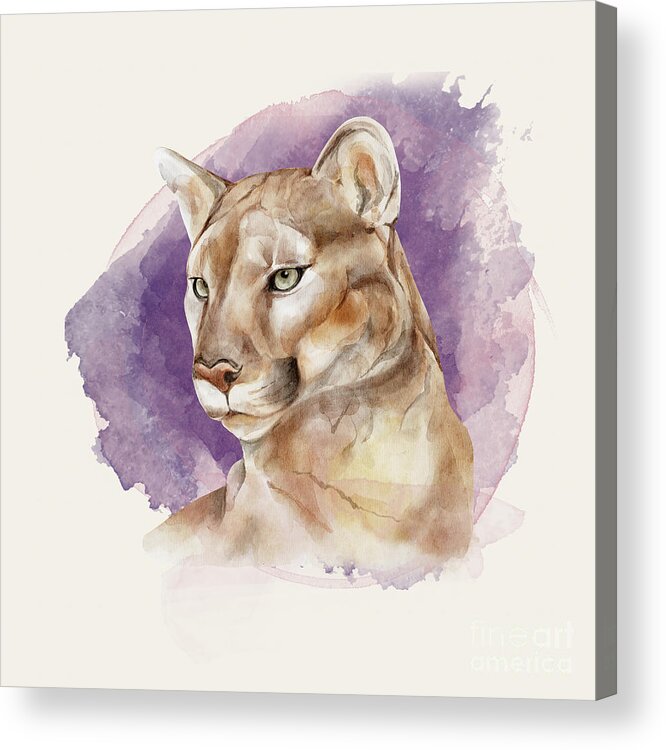 Mountain Lion Acrylic Print featuring the painting Mountain Lion by Garden Of Delights