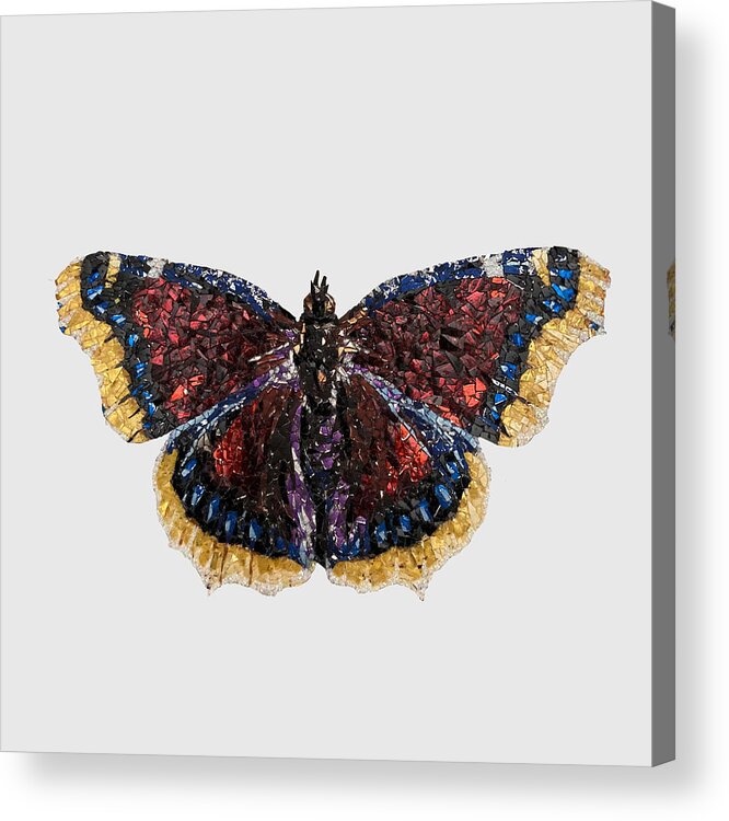 Butterfly Acrylic Print featuring the mixed media Mourning Cloak by Matthew Lazure