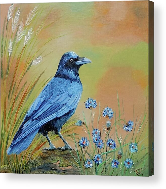 Crow Acrylic Print featuring the painting Mr. Machismo by Connie Rish