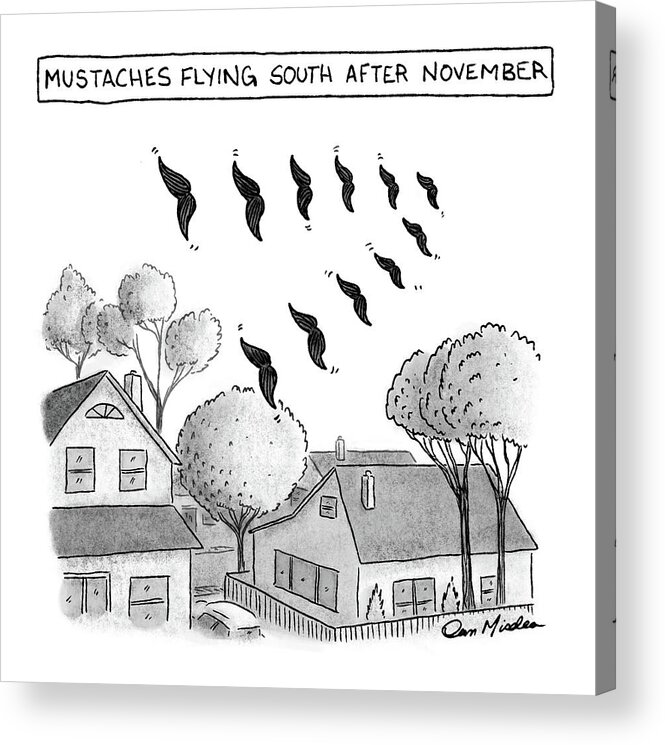 Captionless Acrylic Print featuring the drawing Mustaches Flying South After November by Dan Misdea