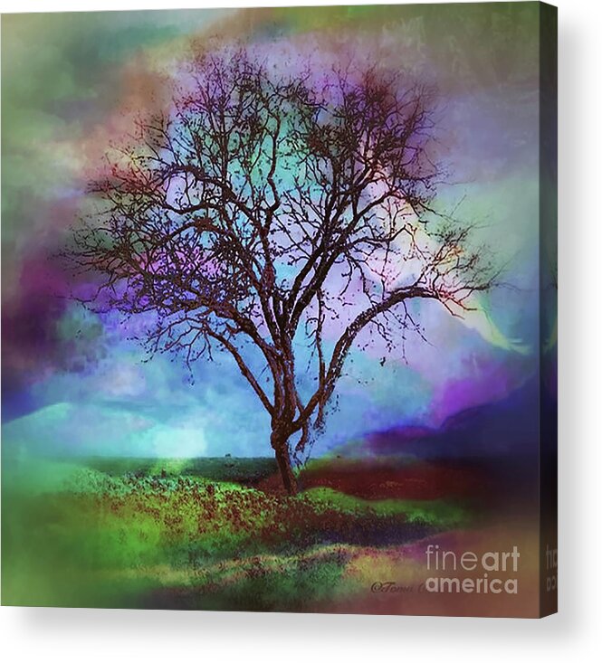 Tree Acrylic Print featuring the photograph Mystical Tree by Toma Caul