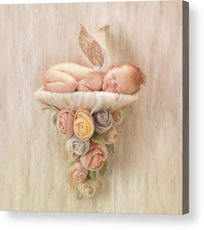 Angel Acrylic Print featuring the photograph Newborn Angel with Roses by Anne Geddes