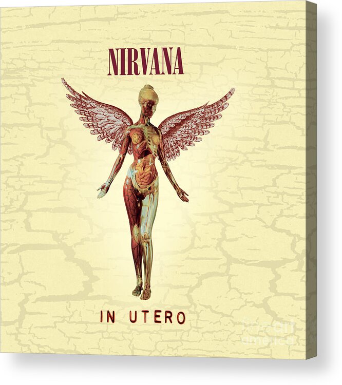 Nirvana Acrylic Print featuring the photograph Nirvana Utero album cover by Action