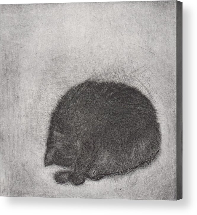 Cat Acrylic Print featuring the drawing Nonchaloir - etching by David Ladmore