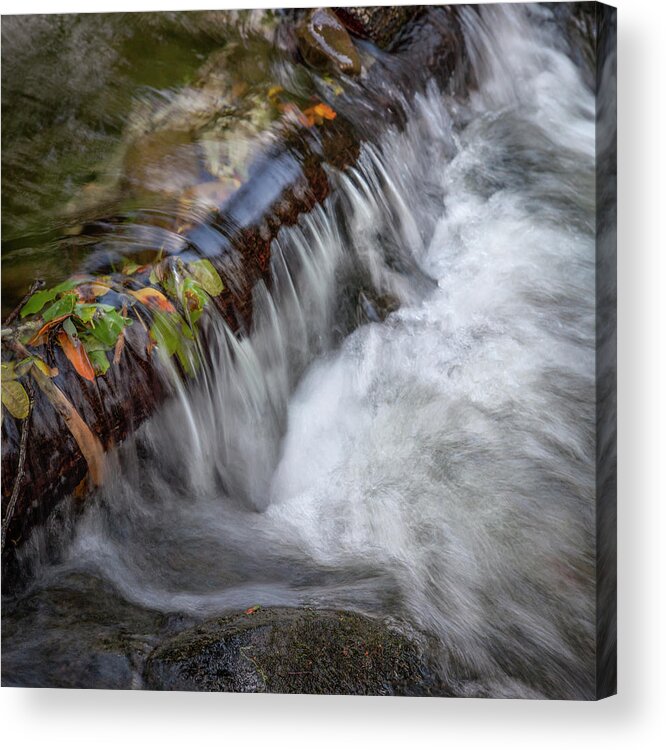 Olema Creek Acrylic Print featuring the photograph Olema Creek, West Marin by Donald Kinney