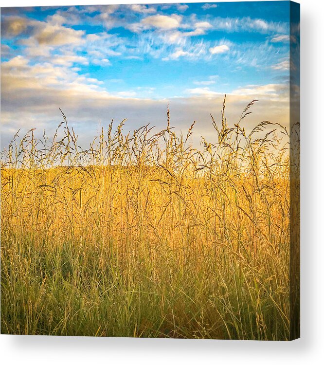 Rural Acrylic Print featuring the photograph Open Spaces by Bonnie Bruno