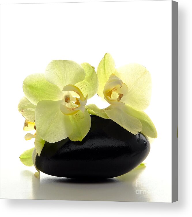 Aromatherapy Acrylic Print featuring the photograph Orchid Flowers on Polished Stone by Olivier Le Queinec