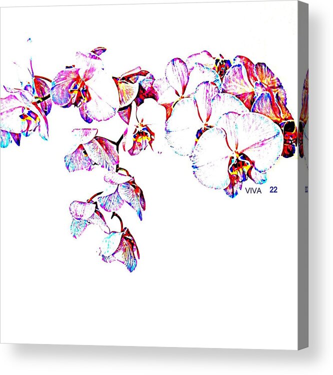 Orchids On White Acrylic Print featuring the photograph Orchids ON White-VIVA22 by VIVA Anderson