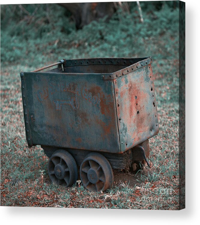 Wagon Acrylic Print featuring the photograph Out of Service by Russell Brown