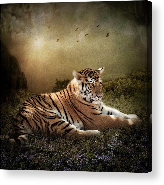 Bengal Tiger Acrylic Print featuring the digital art Peaceful Resolve by Maggy Pease