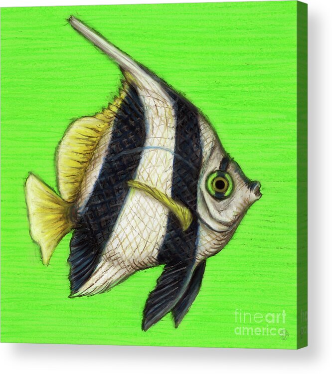 Tropical Fish Acrylic Print featuring the painting Pennant Coralfish by Amy E Fraser