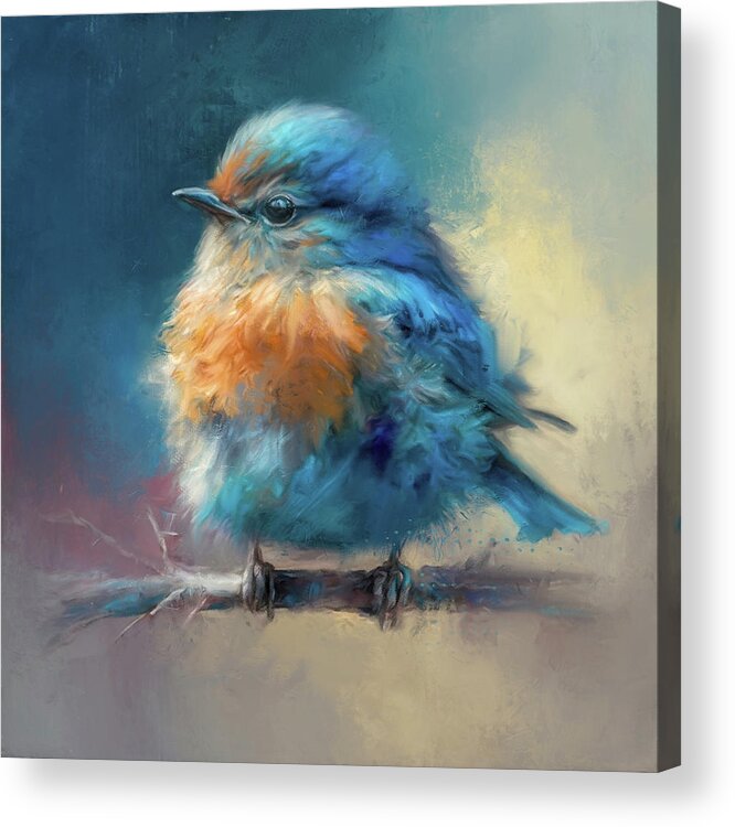 Bluebird Acrylic Print featuring the painting Perfectly Posed by Jai Johnson