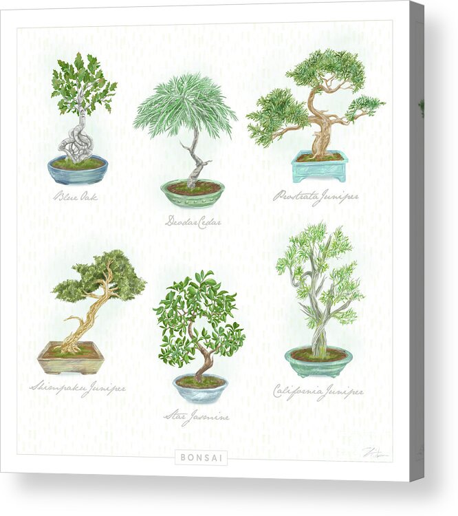 Bonsai Acrylic Print featuring the mixed media Pretty Bonsai Trees by Shari Warren