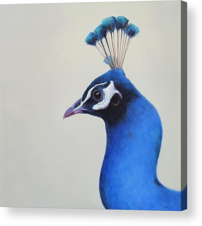 Peacock Acrylic Print featuring the painting Princess by Zusheng Yu