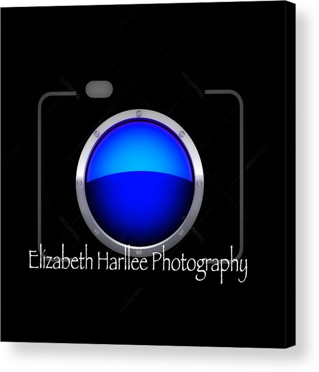  Acrylic Print featuring the photograph Promotions by Elizabeth Harllee