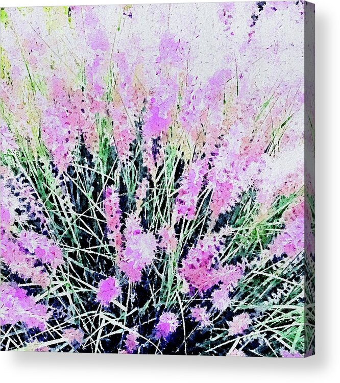 Purple Acrylic Print featuring the digital art Purple beauty by Steven Wills