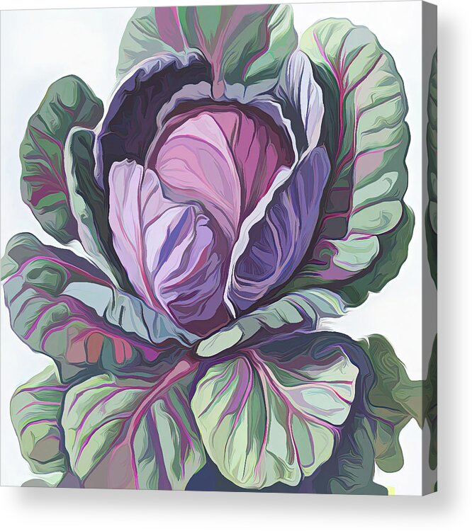 Purple Cabbage Acrylic Print featuring the digital art Purple Cabbage painting by Cathy Anderson