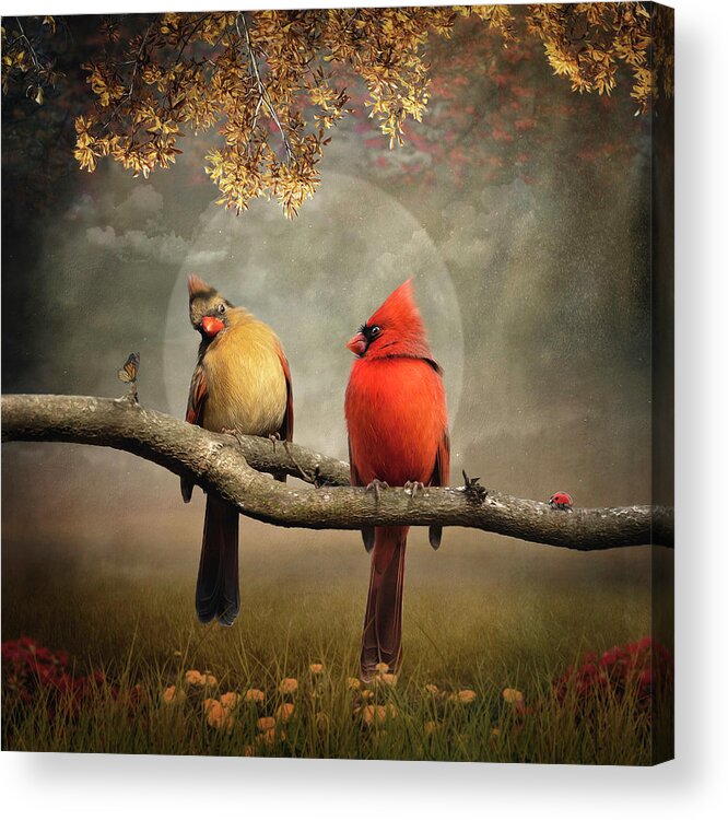 Birds Acrylic Print featuring the digital art Really by Maggy Pease