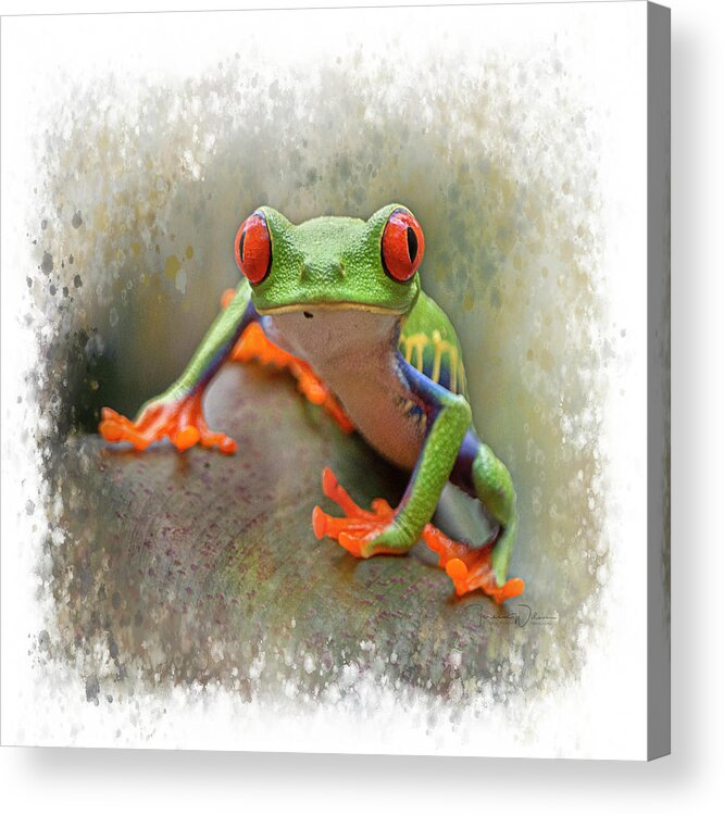 Eye Acrylic Print featuring the photograph Red-Eyed Tree Frog Stylized Square Format by Teresa Wilson