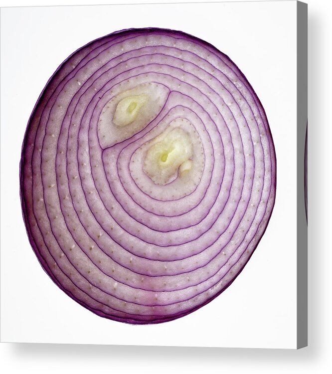 Close-up Acrylic Print featuring the photograph Red Onion 1 by Norman Reid