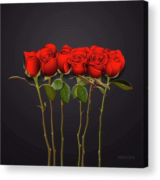 Red Roses Acrylic Print featuring the painting Red Roses by David Arrigoni