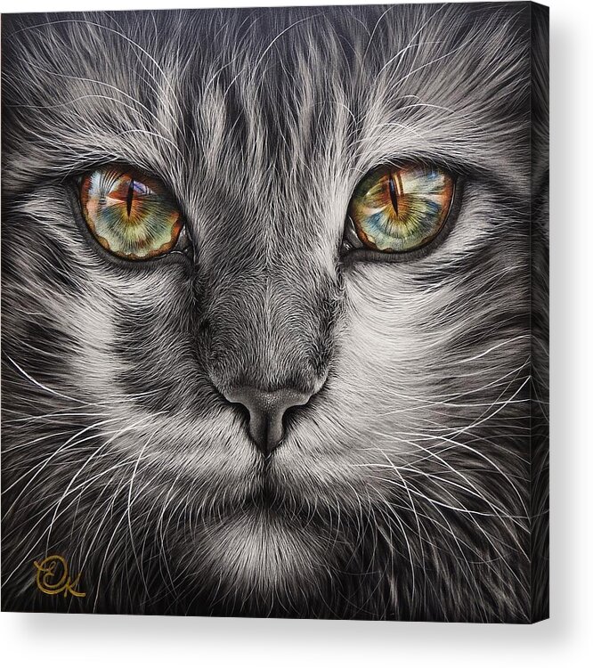 Cat Acrylic Print featuring the mixed media Reflections by Elena Kolotusha