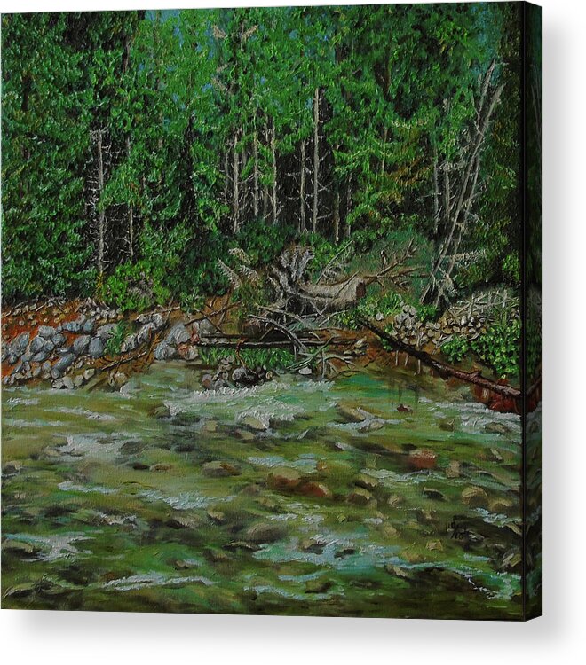 Landscape Oil Painting Natural Wild Peacefull Outside Wet Foam Stream By The River Reflections Water Aqua River Sand Modern Comb Shimmer Pine Needle In Bloom Deciduous Tree Forest Leaf Woodland Trees Tranquil Botanical Plant Realism Nature Floral Rocks Stones Mysterious Pristine Wild Sunlight Sunny Summer Vacations Sky Travel Poland Explore Stone Texture Derail Focus On Stone Scenery Acrylic Print featuring the painting River by Maria Woithofer