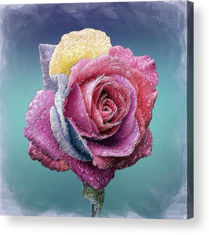 Rose Acrylic Print featuring the painting Rose Floral With Dew Multiple Colors by Tony Rubino
