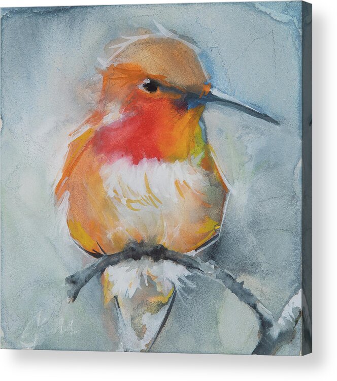 Rufus Hummingbird Acrylic Print featuring the painting Rufous Hummingbird by Jani Freimann