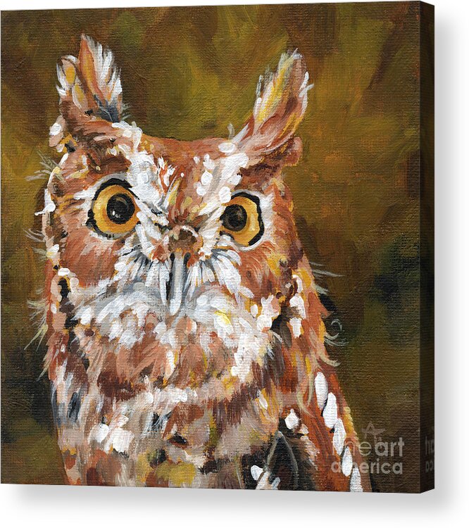 Owl Acrylic Print featuring the painting Screech - Owl Painting by Annie Troe