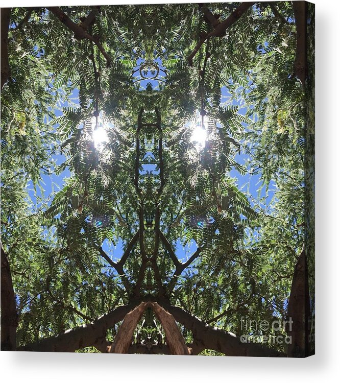 Tree Acrylic Print featuring the photograph Simply Aware Earth Elemental by Soul Ecstatic