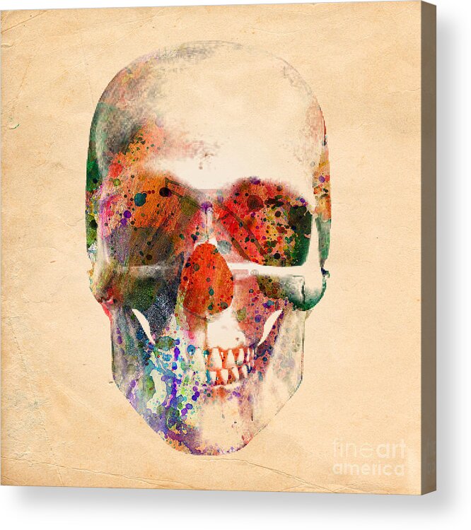 Humans Skull Acrylic Print featuring the digital art Skull Vintage Painting by Mark Ashkenazi